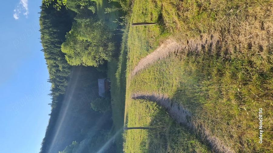 Teren de 9280 mp, în Scărișoara