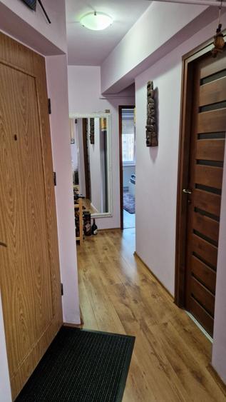 Apartament cu 3 camere în Nufărul