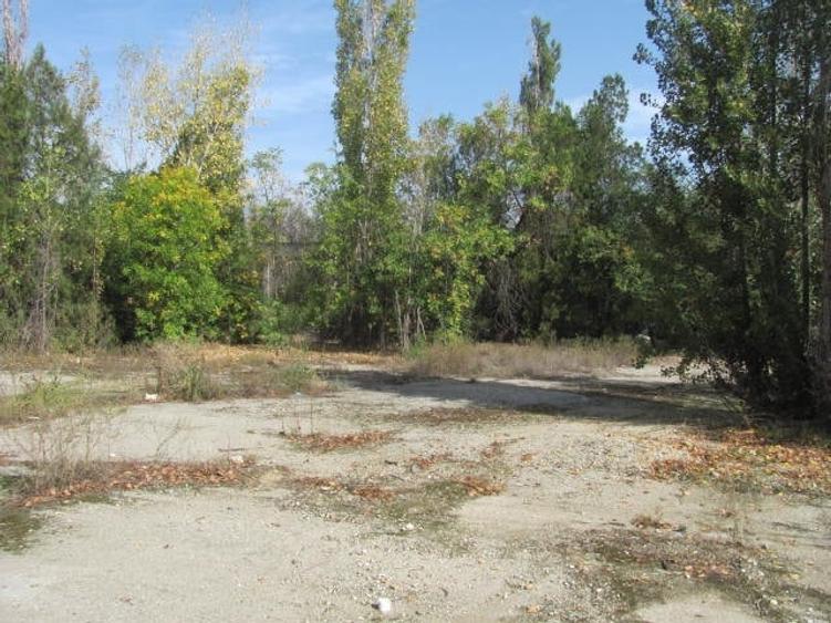 Teren Construcții intravilan de 3500 mp, în Alexandriei