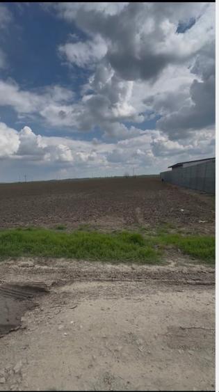 Teren Construcții intravilan de 718 mp, în Belciugatele