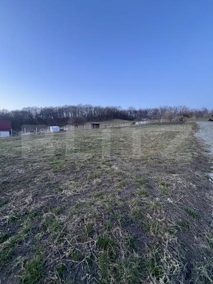 Teren Construcții extravilan de 738 mp, în Nord