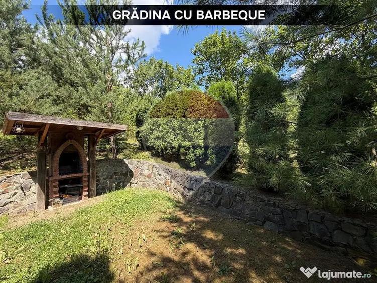Casă cu 3 camere cu Teren 1594 Mp în Valea Borcutului