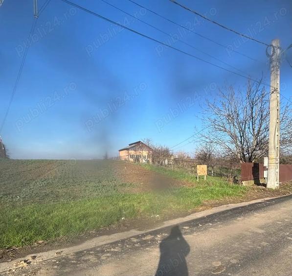 Teren de 5000 mp, în Glina