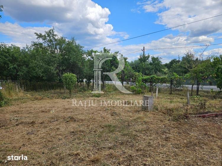 Casă cu 2 camere în Spinuș