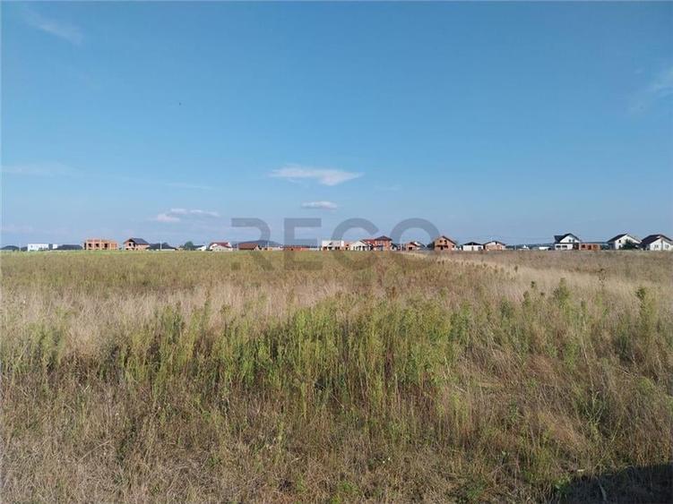 Teren Construcții intravilan de 1750 mp, în Cihei