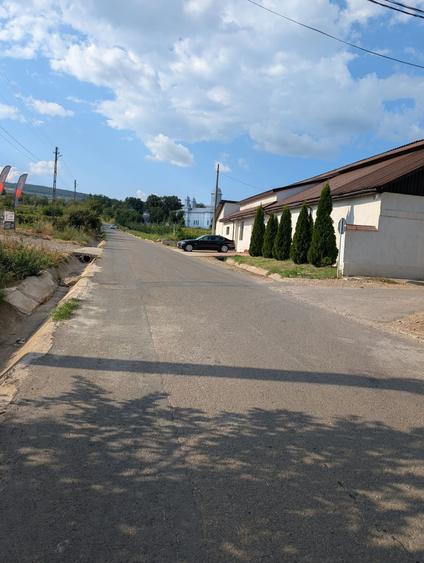 Teren agricol extravilan de 5949 mp, în Dealu Viei
