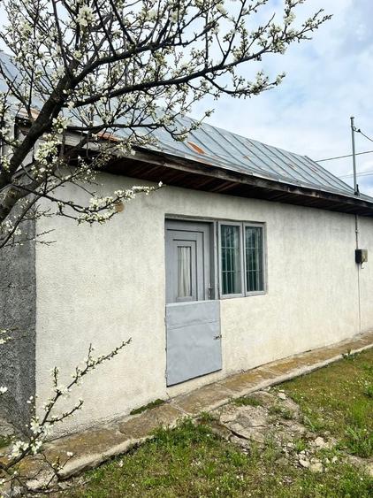 Casă cu 2 camere în Cojești
