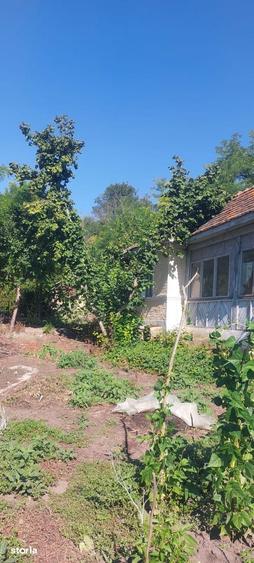 Casă cu 5 camere cu Teren 2065 Mp în Zărnești