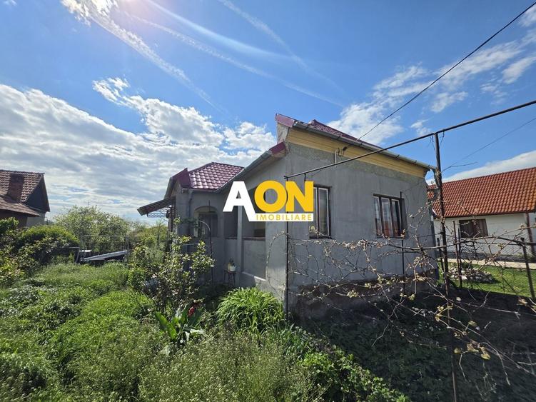 Casă individuală cu 2 camere cu Canalizare în Totoi