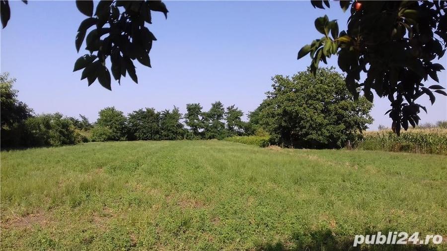 Casă cu 4 camere cu Teren 6.8 Mp în Glodeanu-Siliștea