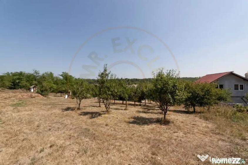 Casă cu 4 camere cu Teren 1252 Mp în Central
