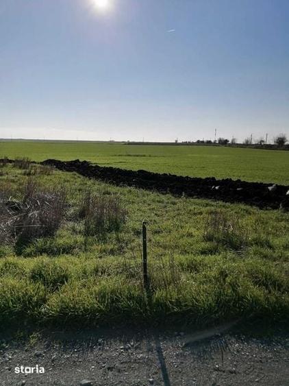 Teren 500 mp cu vedere superba la mare Tuzla, langa plaja ?i Nibiru - 5