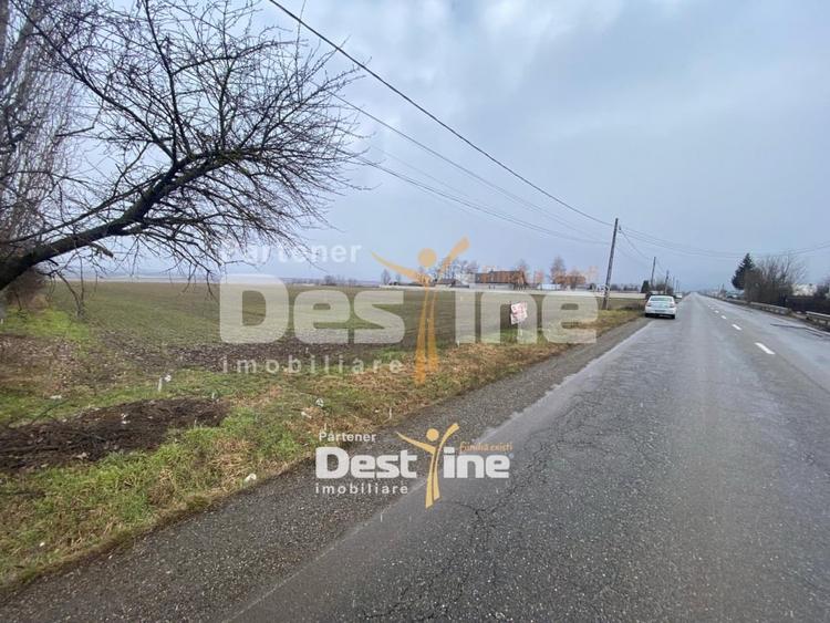 Teren Construcții intravilan de 7200 mp, în Doina