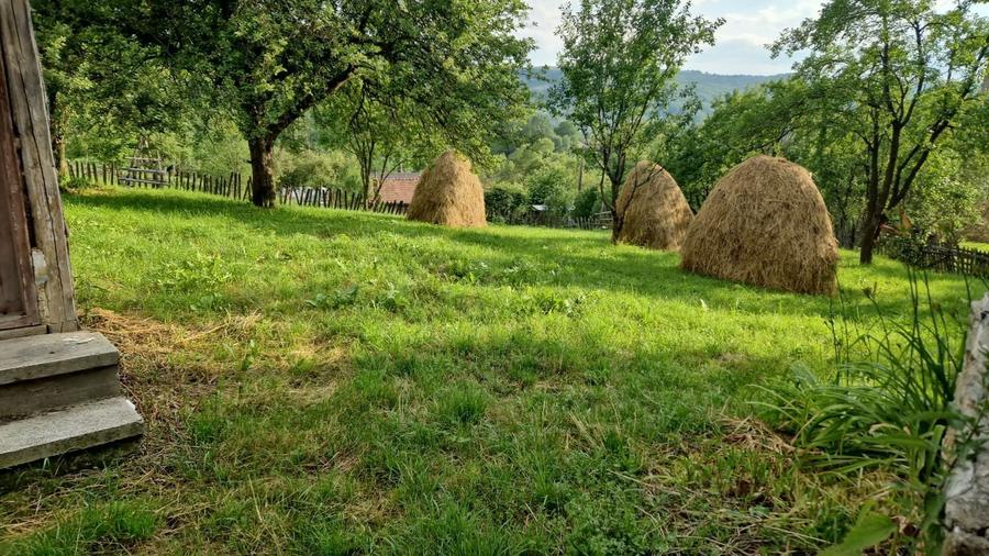 Vand teren in Valea Doftanei - 7