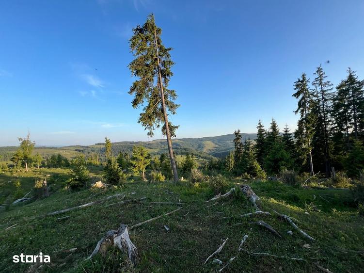 Teren de 500000 mp, în Ciocănești
