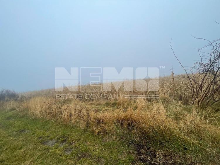 Teren agricol extravilan de 28400 mp, în Dărmănești