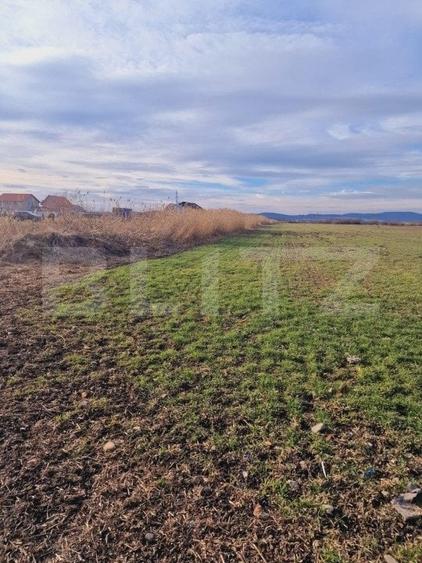 Teren Construcții intravilan de 8700 mp, în Nord-Est