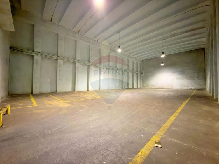 Spațiu industrial, de 6,132 mp, în Aradul Nou