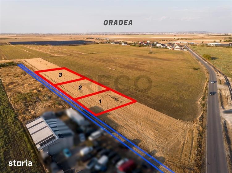 RECO Teren intravilan mixt cu PUZ aprovat Livada de Bihor - 3