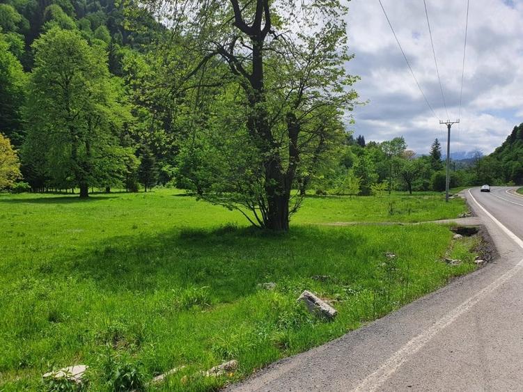 Teren Construcții intravilan de 20217 mp, în Exterior Sud