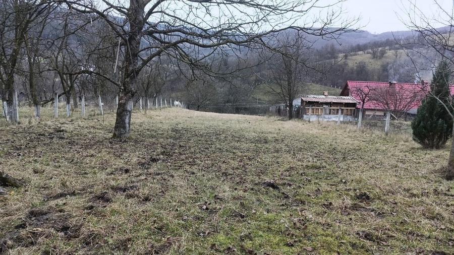 Teren Construcții intravilan de 2750 mp, în Nicula
