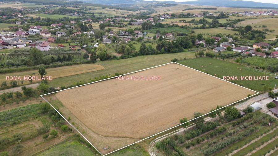 TEREN INTRAVILAN DE VÂNZARE – ȘOMCUTA MARE, MARAMUREȘ - 2