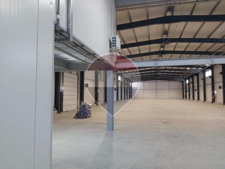 Spațiu industrial hala moderna si birouri de inchiriat Stefanesti - 3