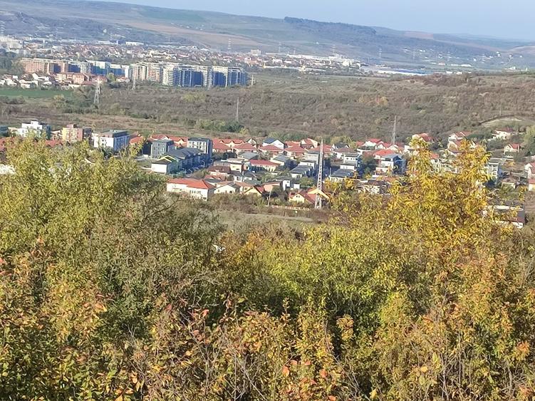 Spațiu comercial, în Borhanci