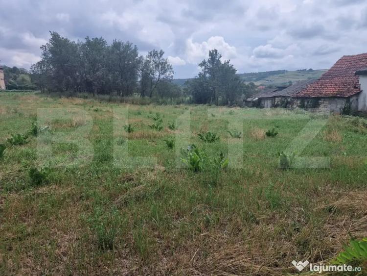 Teren în Borșa
