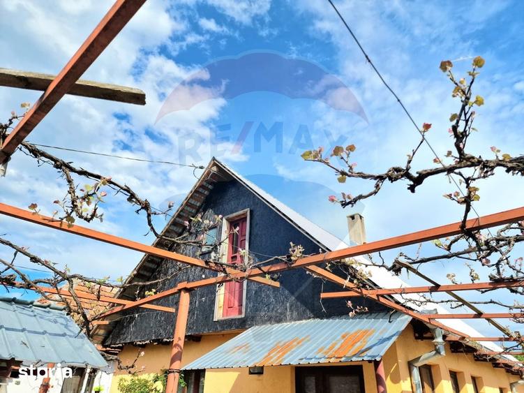 Casă cu 3 camere cu Teren 2254 Mp în Mănăstirea Cașin