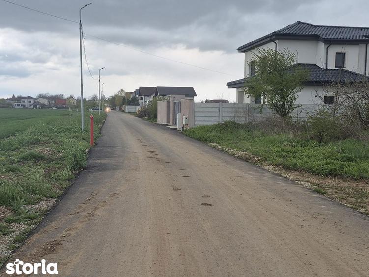 Teren Balotesti 600 mp,langa casa locuita,electricitate ,gaz-70 metri - 5