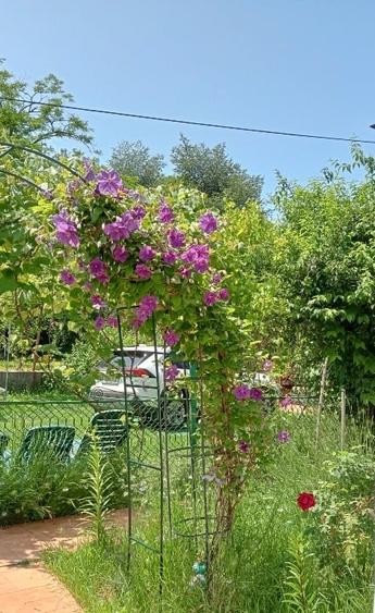 Casă individuală cu 5 camere cu Canalizare în Dragodana