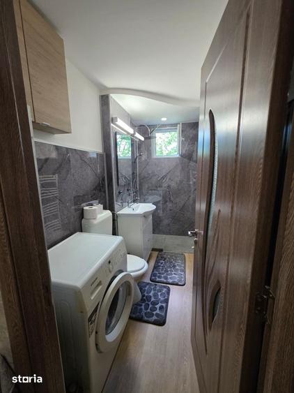 Apartament cu 2 camere Dambu Pietros - 10