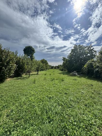 Teren de 1503 mp, în Brebu
