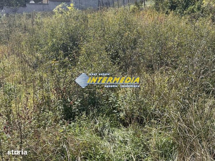 Spațiu comercial, în Cetate