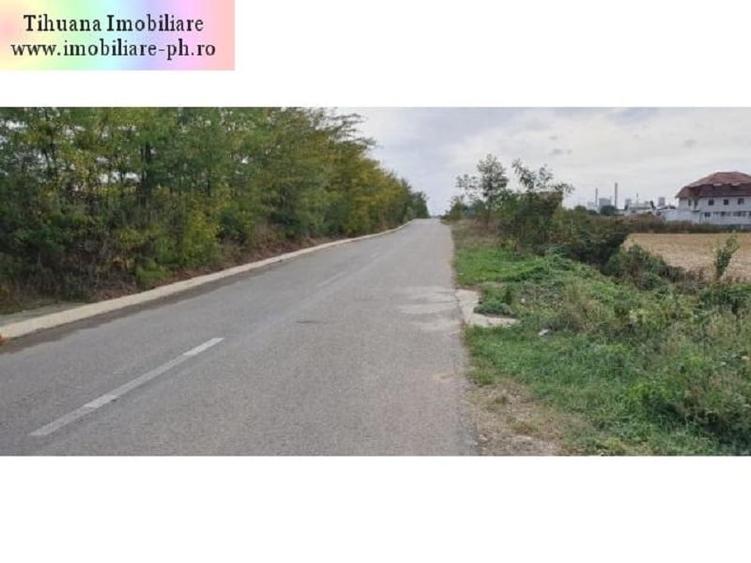 Teren Construcții intravilan de 618 mp, în Bucov