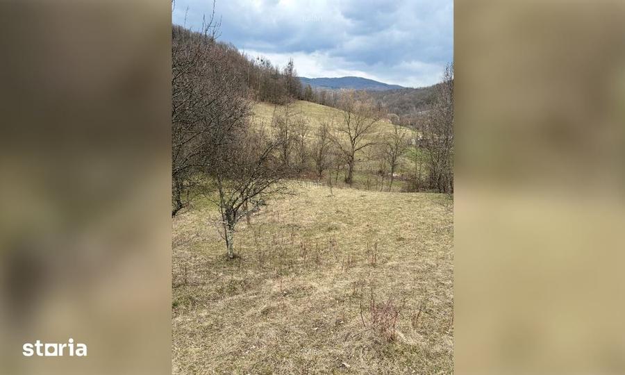 Teren de 3300 mp, în Sălătrucel