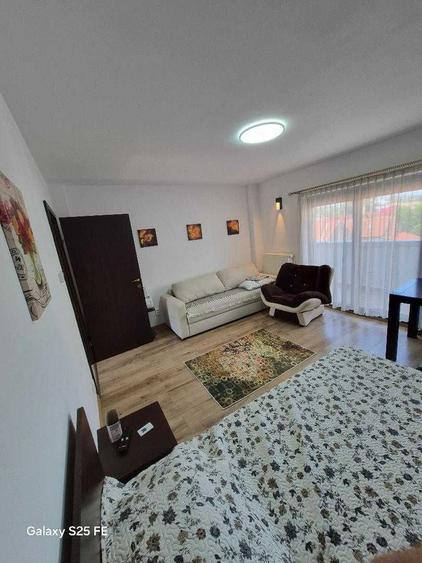 Inchiriez apartament 1 camera centru, Motilor, UMF, primarie, Platinia mall - 10