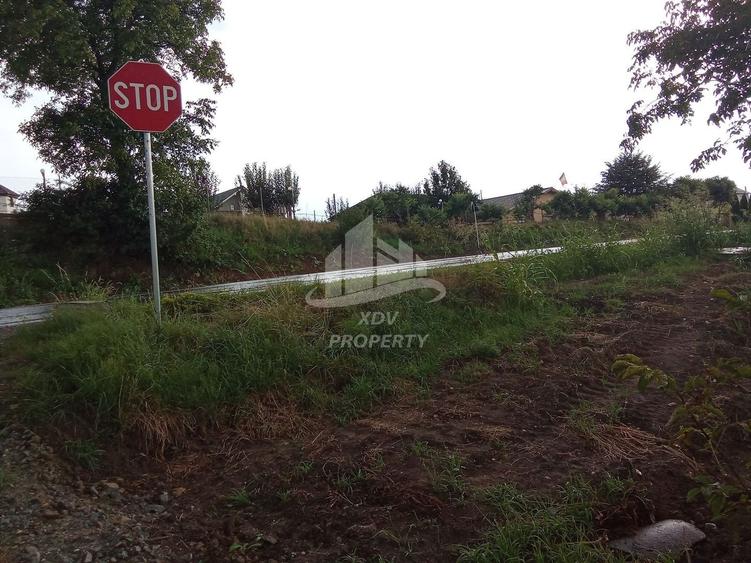 Teren Construcții intravilan de 1020 mp, în Daia