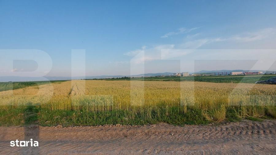 Teren de 9900 mp, în Moacșa
