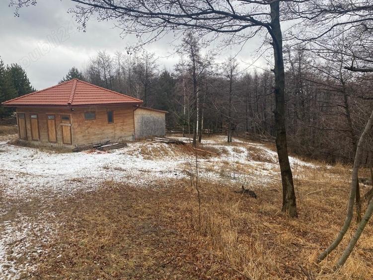 Teren de 3723 mp, în Chiliile