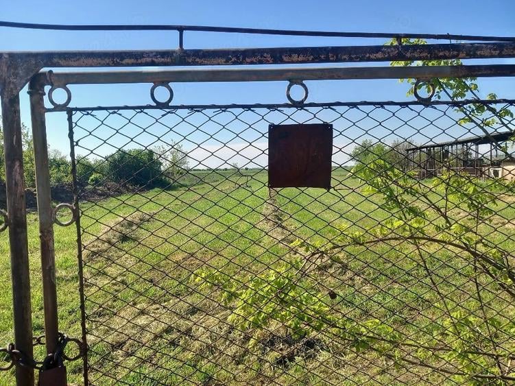 Teren de 2900 mp, în Comloșu Mare