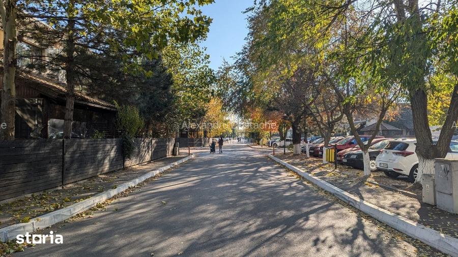 Teren 19.470 mp, investitie ideala, Green City -1 Decembrie, Ilfov