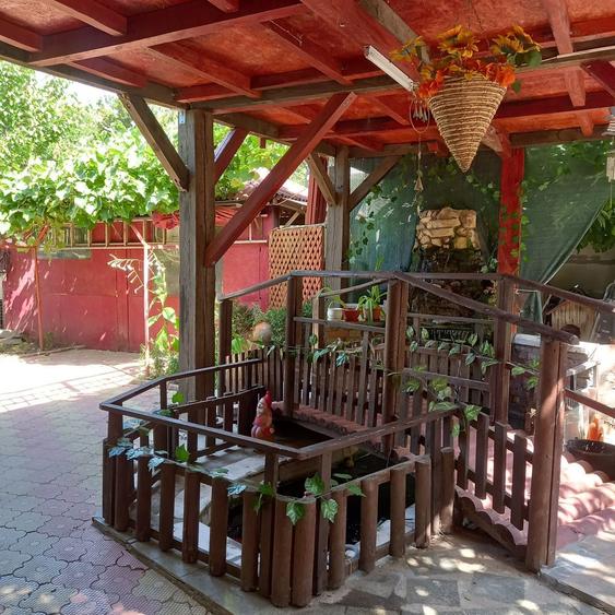 Casa George si Ana de vanzare - 5