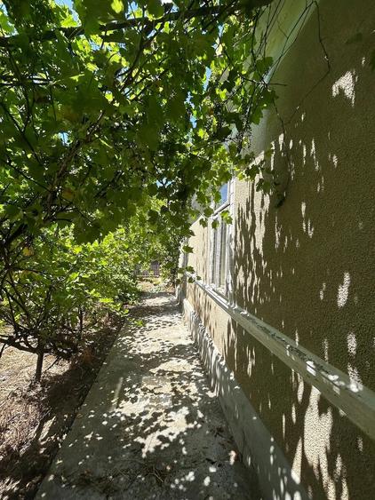 Casă cu Teren 14000 Mp în Bărăganul