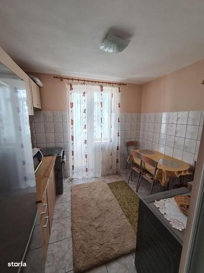 Apartament 1 camera 41 mp utili pivnita si balcon inchis Turnisor - 8