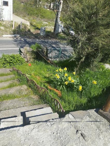 Casă cu 6 camere cu Teren 1200 Mp în Cheia