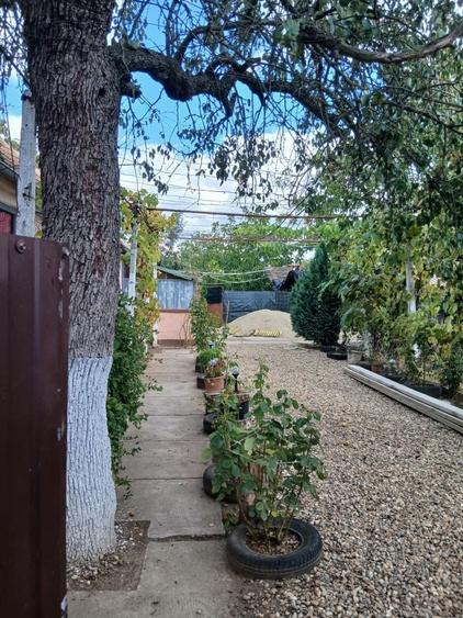 Casă cu 3 camere în Zădăreni
