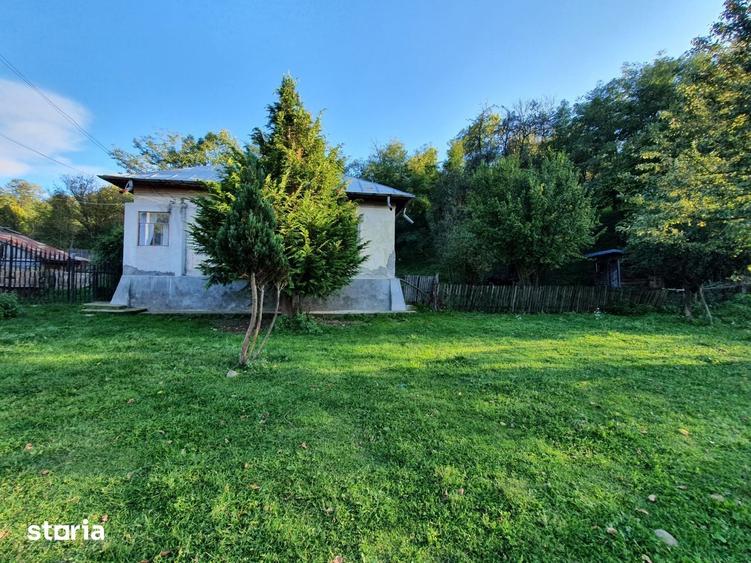 Teren de 20000 mp, în Valea