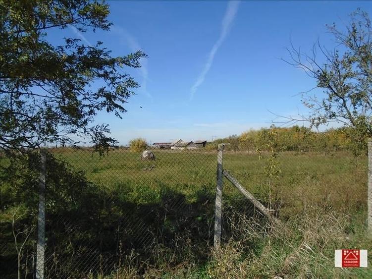 Teren agricol intravilan de 46500 mp, în Nord-Vest